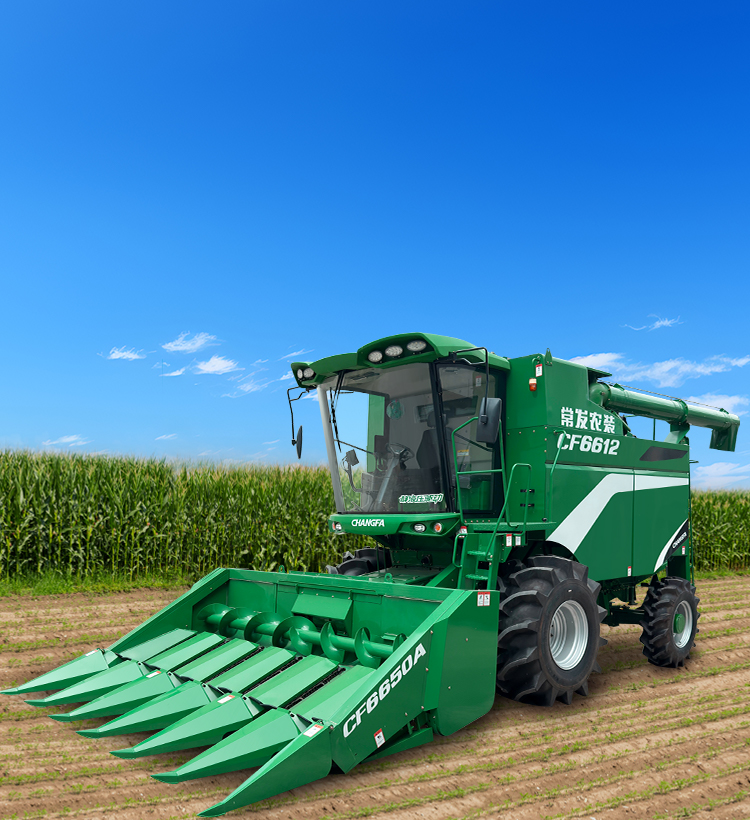 img6 of cate in cate