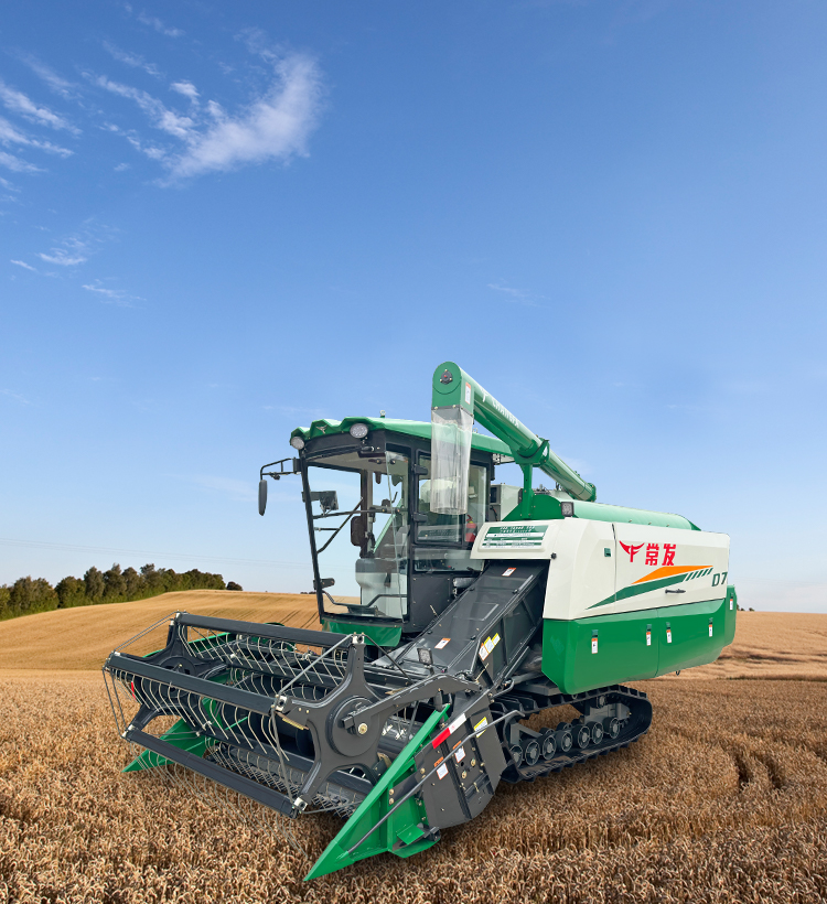 img of cate in index