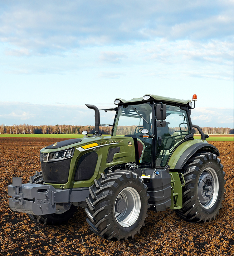 img11 of cate in cate