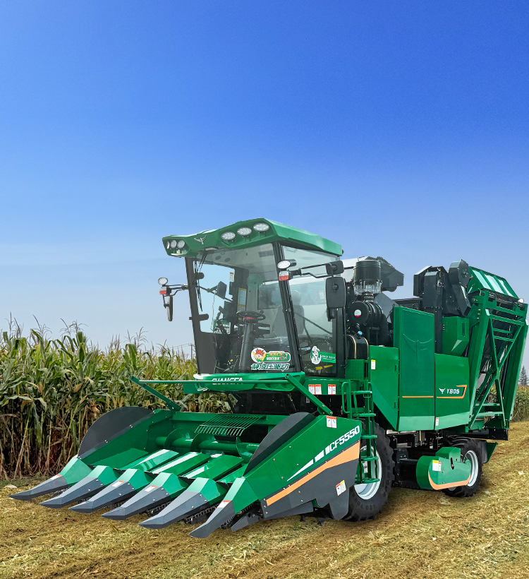 img5 of cate in cate