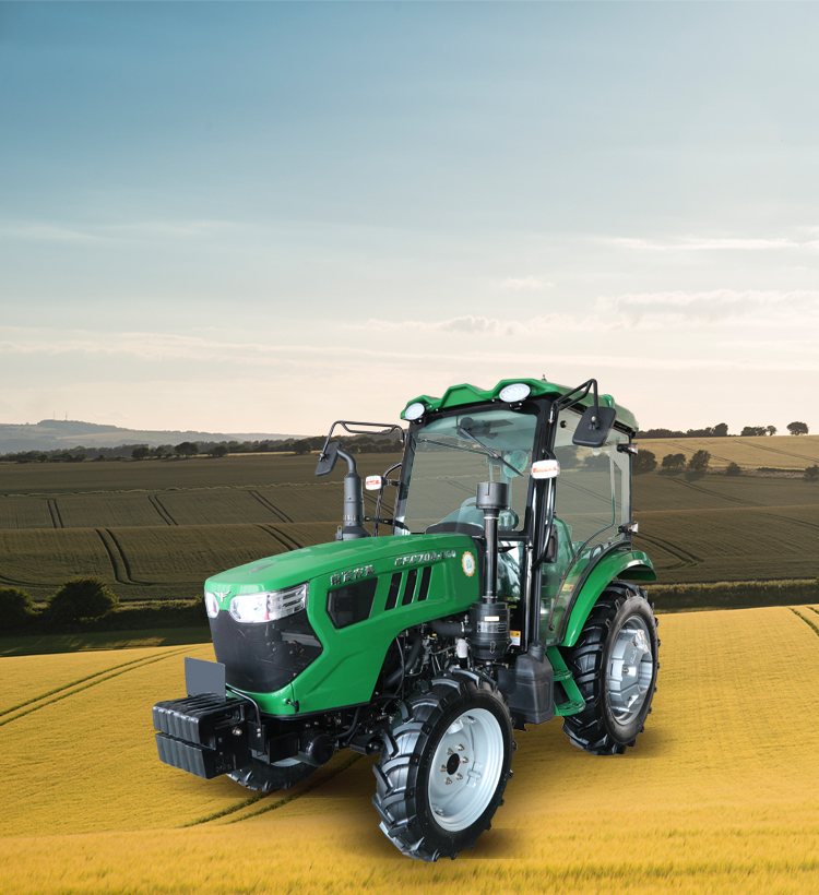 img2 of cate in cate