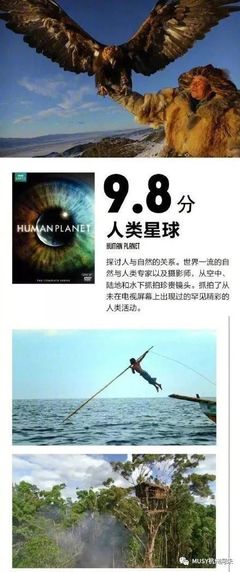 推薦9部堪稱神級(jí)的BBC精品紀(jì)錄片 暑假和孩子一起看